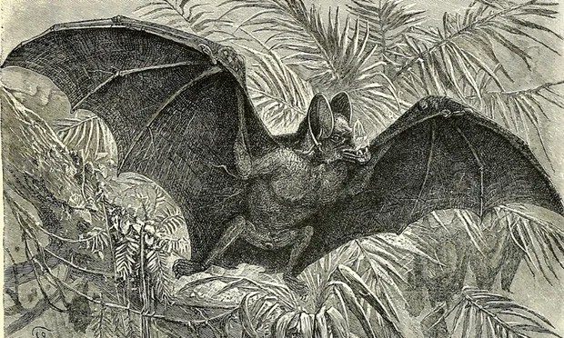 The First Black American&nbsp;Vampire